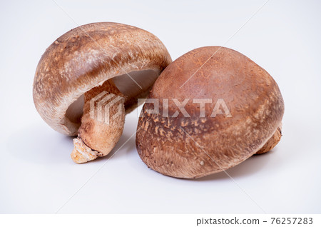 嚴選最高峰生香菇“Notomari”的照片 76257283