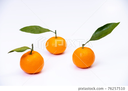 Photograph of mandarin oranges with leaves / white background Photograph of mandarin oranges with leaves / white background 76257510