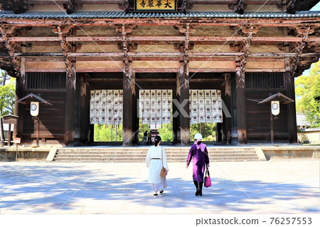 奈良公園，東大寺 76257553