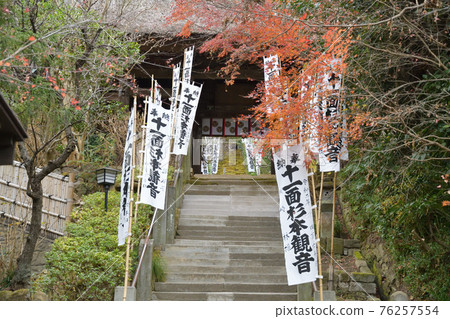 Stairs of moss of Sugimoto-ji 76257554
