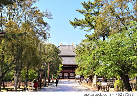 Nara Park, Todaiji Temple 76257558