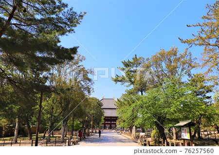 奈良公園，東大寺 76257560