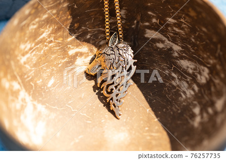 Pendant wolf head necklace golden color stainless steel shoot outside in a sunny day closeup. Selective Focus 76257735