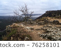 Lone small tree grow at the edge of cliff. Force of life. Strong plant fighting for its future 76258101