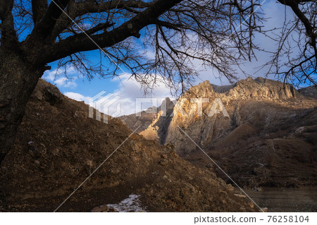 Lone tree grow at the edge of cliff. Force of life. Strong plant fighting for its future. Mountain landscape 76258104