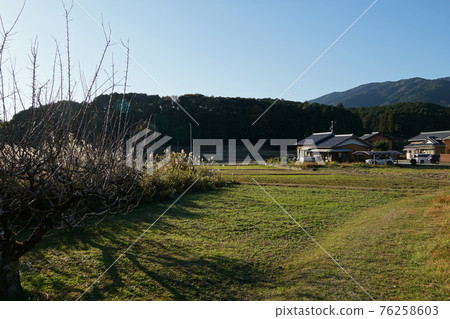 Battle of Nagashino Old battlefield Looking toward the horse fence from the Takeda side Battle of Nagashino Old battlefield Looking toward the horse fence from the Takeda side 76258603