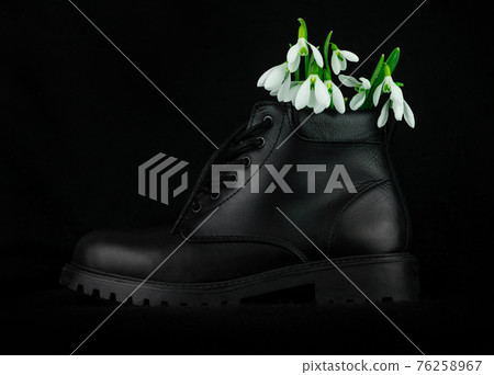 Beautiful white flowers snowdrops or Galanthus bouquet in vase close-up black background. Dark moody floral wallpaper. Beautiful white flowers snowdrops or Galanthus bouquet in vase close-up black background. Dark moody floral wallpaper. 76258967