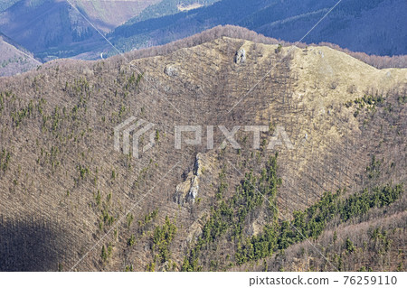 Deciduous forest from Klak hill, Slovakia, springtime scene 76259110