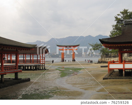 Itsukushima shrine and Otorii 76259326