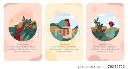 Cards or onboarding pages with farmers processing coffee vector illustration. 76259712