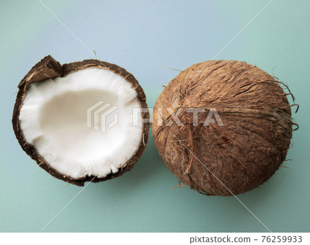 Coconut tree fruit coconut split into two halves isolated on blue background. 76259933