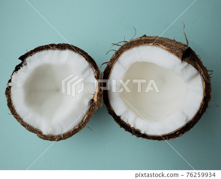 Coconut tree fruit coconut split into two halves isolated on blue background Coconut tree fruit coconut split into two halves isolated on blue background 76259934