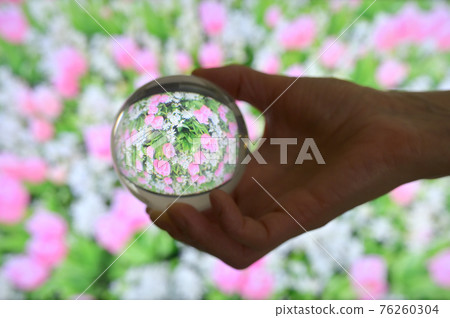 A Glass Lens ball and Field of tulips 76260304