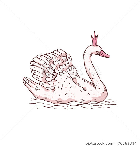 Cute princess swan with crown on head, beautiful fairy bird in sketch style. 76263384
