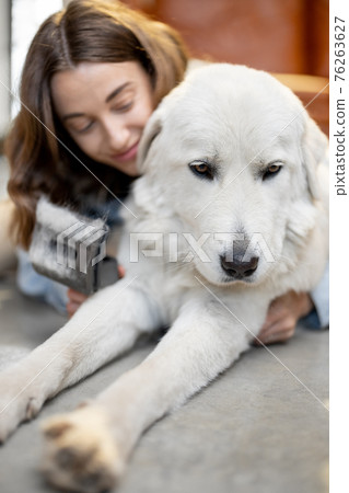 Happy woman with a dog at home 76263627