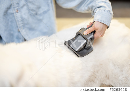 Female combs the dog's hair with a brush 76263628