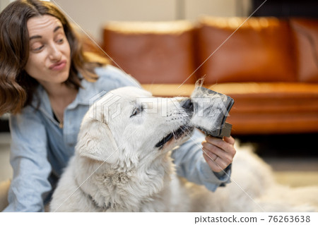 Woman combs the dog's hair with a brush 76263638