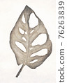 Digital art painting canvas - Tropical leaf of Monstera Adansonii also called Monstera Monkey. Sepia toned image with watercolor effect. 76263839