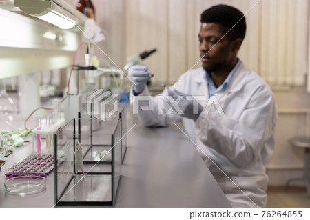 Experimental mouse in the laboratory 76264855