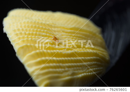 Super macro fan shaped curl of margarine isolated on black background Super macro fan shaped curl of margarine isolated on black background 76265601