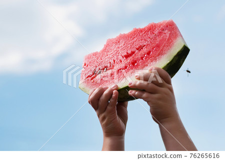 two hands of a small child are raised up, holding a large piece of watermelon, against a blue sky with a cloud, concept 76265616