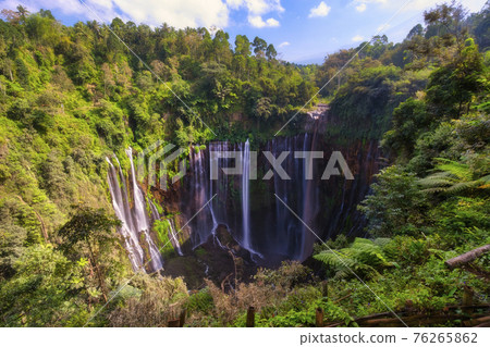 Aerial view of tropical rainforest Coban Sewu Waterfall in East Java Indonesia Aerial view of tropical rainforest Coban Sewu Waterfall in East Java Indonesia 76265862