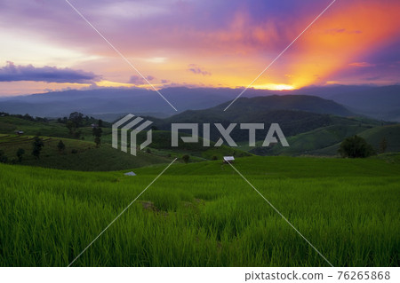 Beautiful scene of terraced rice field in Ban Pa Bong Piang village in Chiang Mai province, Thailand Beautiful scene of terraced rice field in Ban Pa Bong Piang village in Chiang Mai province, Thailand 76265868