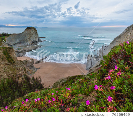 Spring sunset sea rocky coast landscape with small sandy beach and pink flowers in front (Arnia Beach, Spain, Atlantic Ocean). Spring sunset sea rocky coast landscape with small sandy beach and pink flowers in front (Arnia Beach, Spain, Atlantic Ocean). 76266469