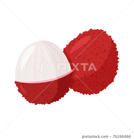 Tropical fruit lychee isolated on white background. Fresh exotic berry vector illustration. Tropical fruit lychee isolated on white background. Fresh exotic berry vector illustration. 76266866