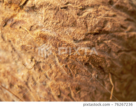 Macrophotography texture of coconut fruit. 76267236