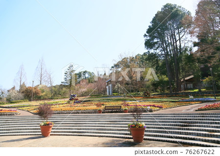 春天植物園 76267622