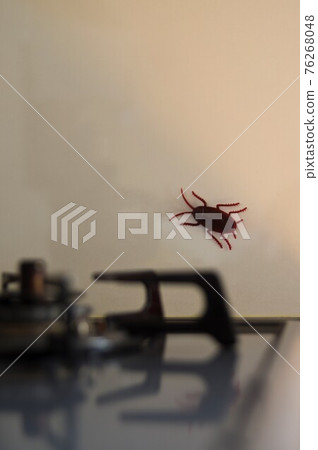 廚房的牆上貼著一隻玩具蟑螂。 76268048