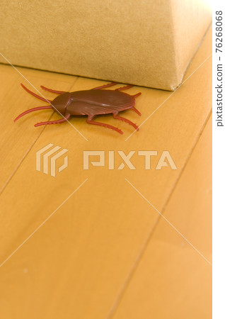 一隻玩具蟑螂在紙板的陰影下。 76268068