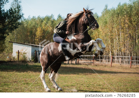 The horse rears up with the jockey, they prepare for the competition The horse rears up with the jockey, they prepare for the competition 76268285