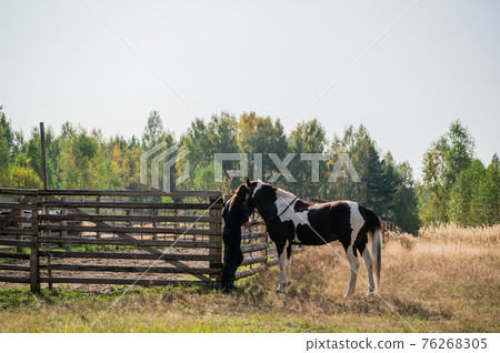 Young stable boy girl ties a brown horse with white spots to a fence Young stable boy girl ties a brown horse with white spots to a fence 76268305