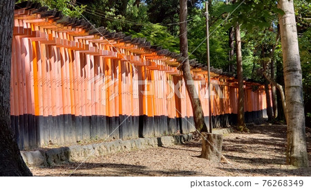 cooljapanimage ・ Senbon Torii ・ Japanese shrine image ・ Vermilion line ・ Shape of faith 76268349