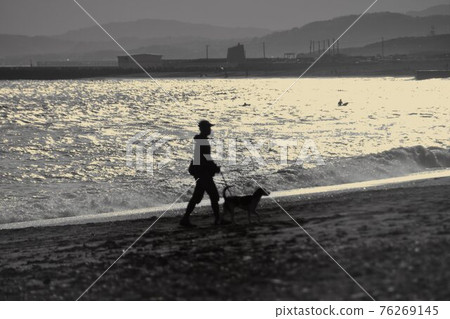 沙灘上遛狗(單色剪影) 沙灘上遛狗(單色剪影) 76269145