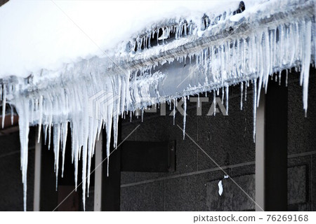 Tulal of the eaves 76269168