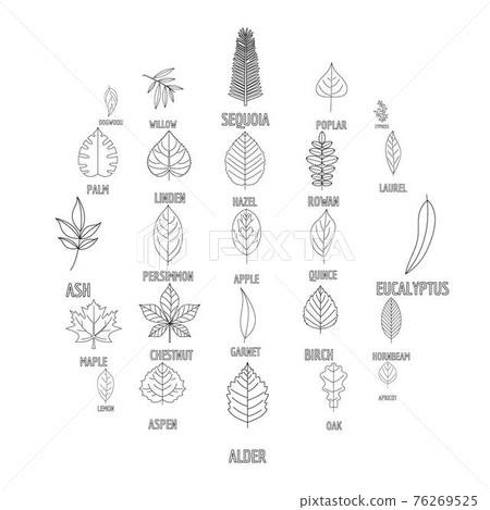 Leaf icons set, outline style 76269525