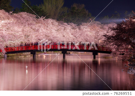 Superb view of the red bridge and cherry blossoms at night in Hirosaki Park 76269551