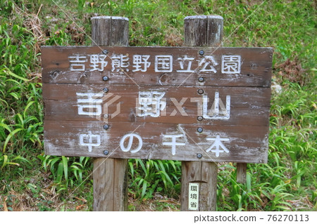 Cherry blossoms on Mt. Yoshino (Naka no Senbon) Cherry blossoms on Mt. Yoshino (Naka no Senbon) 76270113