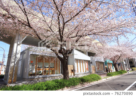 SAKUMACHI Shopping Street, Kita-ku, Nagoya SAKUMACHI Shopping Street, Kita-ku, Nagoya 76270890