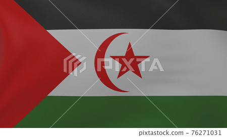 Sahrawi Arab Democratic Republic flag texture 76271031