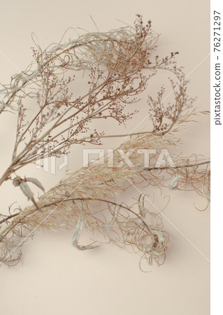 Dry reeds isolated on beige background. Abstract dry grass flowers, pile of dry herbs, hay or straw, background with copy space, monochrome, trendy minimal style Dry reeds isolated on beige background. Abstract dry grass flowers, pile of dry herbs, hay or straw, background with copy space, monochrome, trendy minimal style 76271297