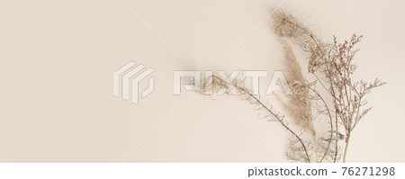 Dry reeds isolated on beige background. Abstract dry grass flowers, pile of dry herbs, hay or straw, background with copy space, monochrome, trendy minimal style Dry reeds isolated on beige background. Abstract dry grass flowers, pile of dry herbs, hay or straw, background with copy space, monochrome, trendy minimal style 76271298