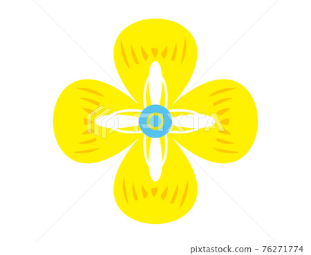 Scandinavian flower vector illustration 76271774