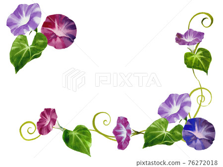 牽牛花手繪水彩裝飾框 76272018