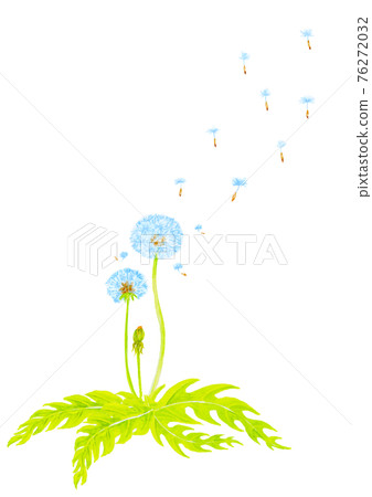 蒲公英水彩模擬圖 76272032