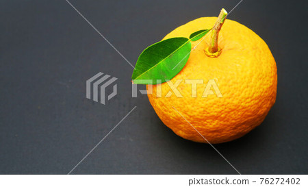 Various citron fruits Various citron fruits 76272402