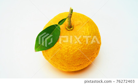 Various citron fruits Various citron fruits 76272403
